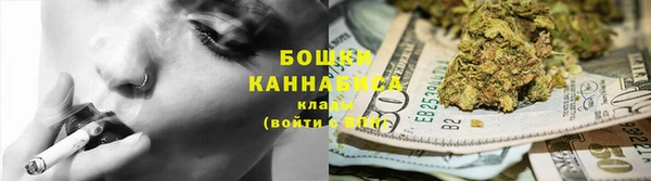 трава Карпинск