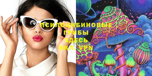 трава Карпинск